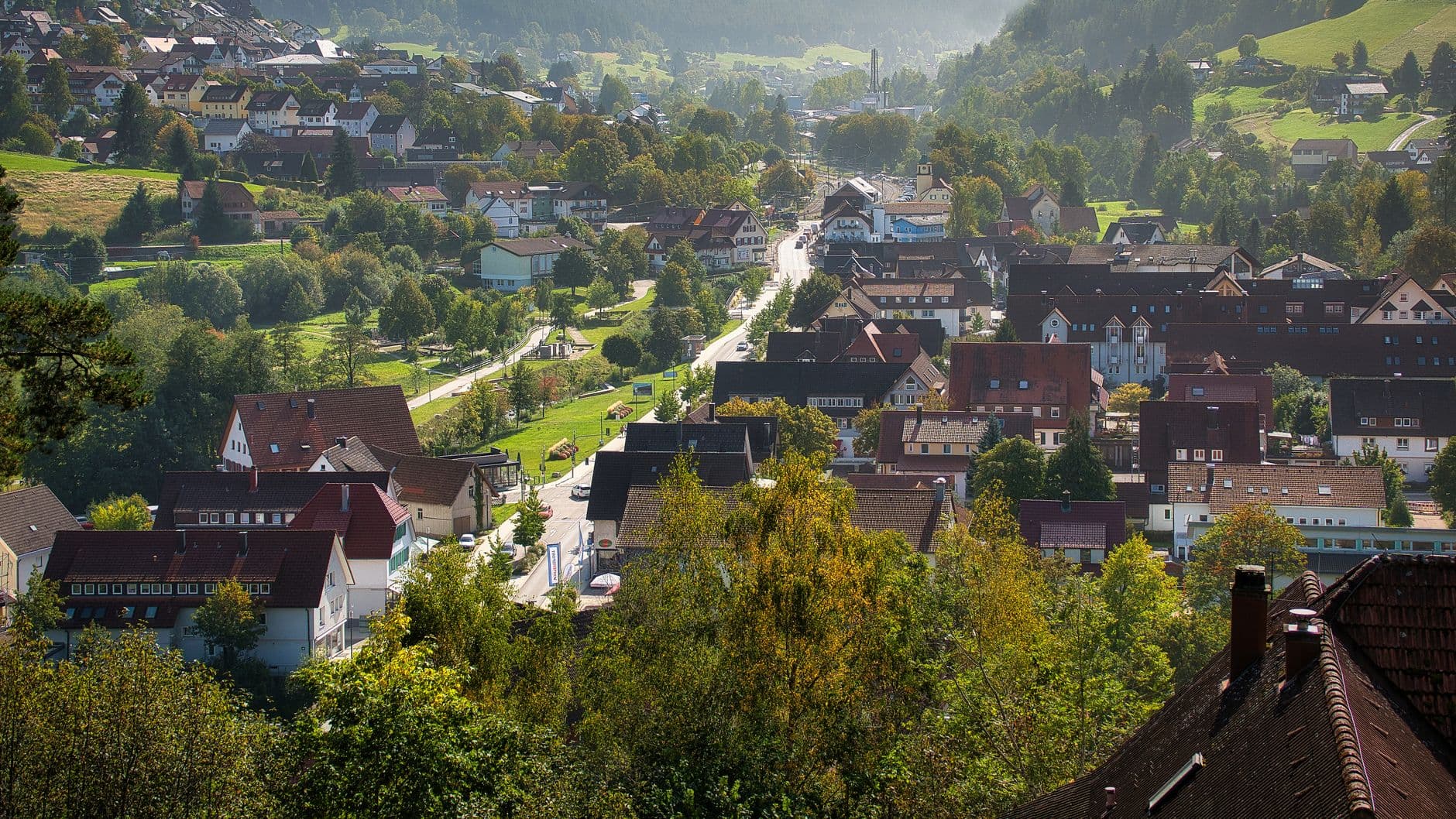 Warmer Sommer lässt Wespenpopulation in deutschen Städten steigen – Symbolbild