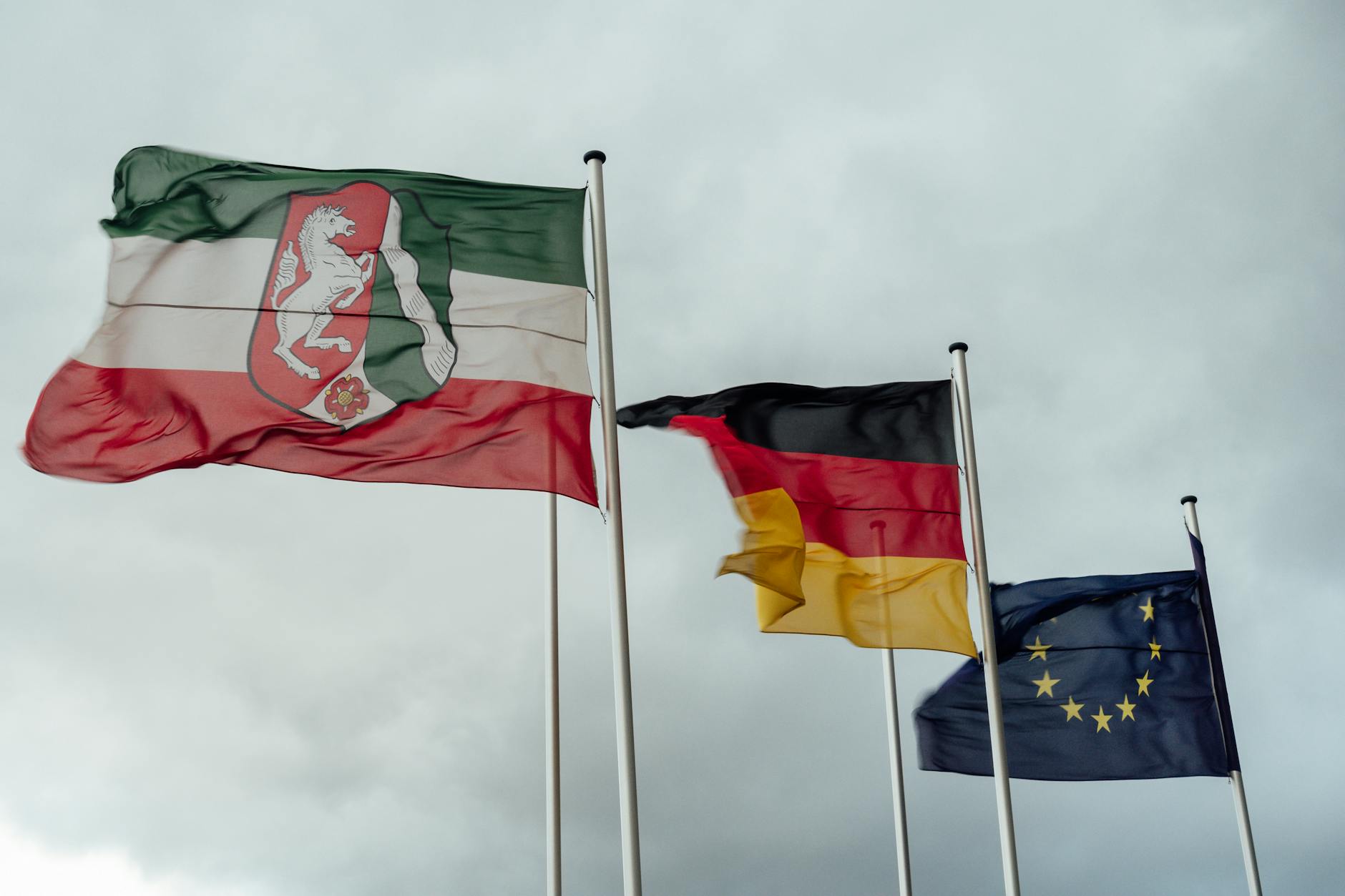 Tag des Grundgesetzes: Steinmeier ruft zu mehr politischer Teilhabe auf