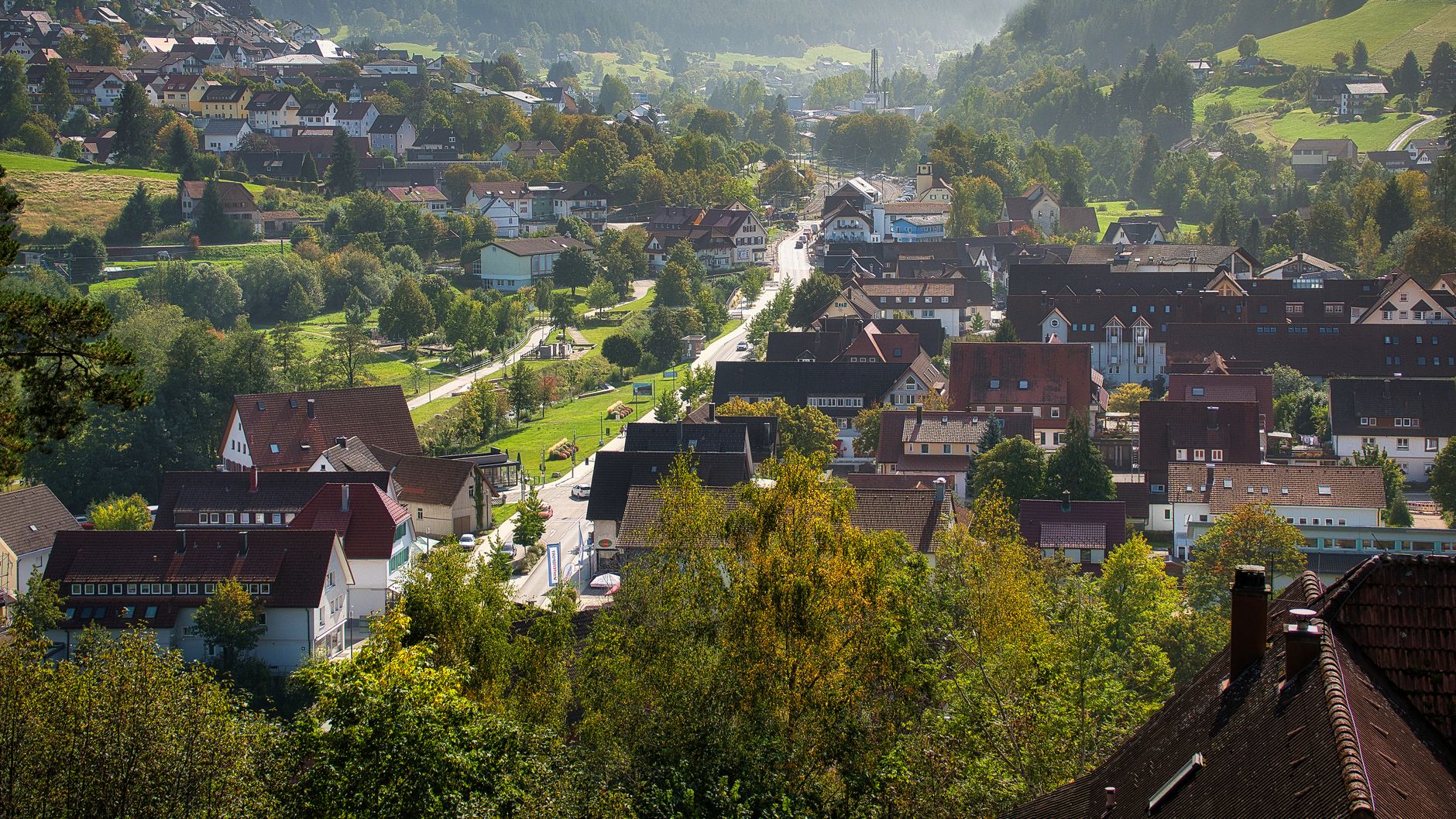 Warmer Sommer lässt Wespenpopulation in deutschen Städten steigen